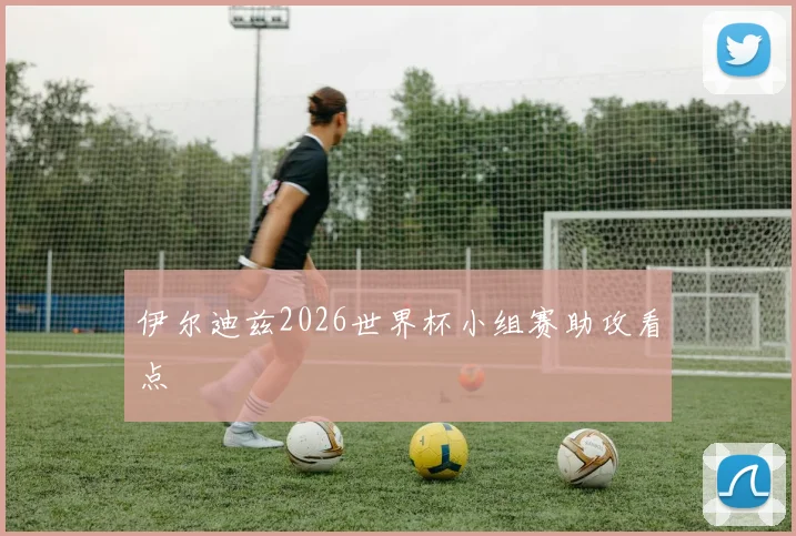伊尔迪兹2026世界杯小组赛助攻看点