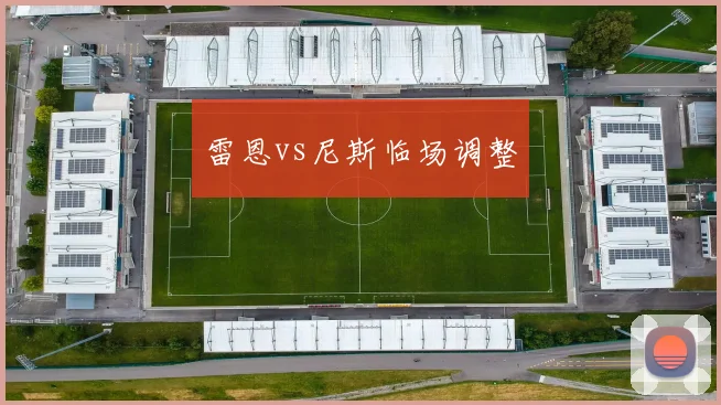 雷恩vs尼斯临场调整